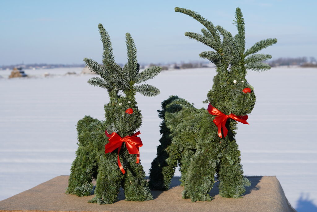 DSC02775 DSC02775 1024x683