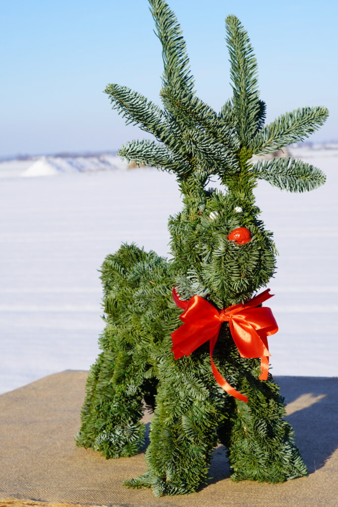 Services DSC02780 683x1024