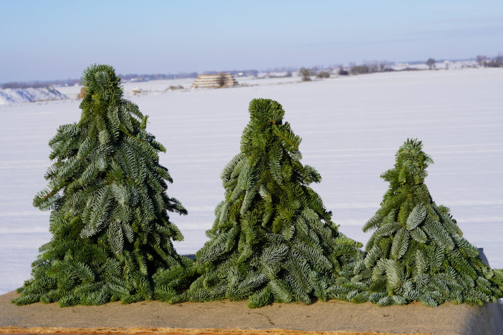 Services DSC02796 1024x683