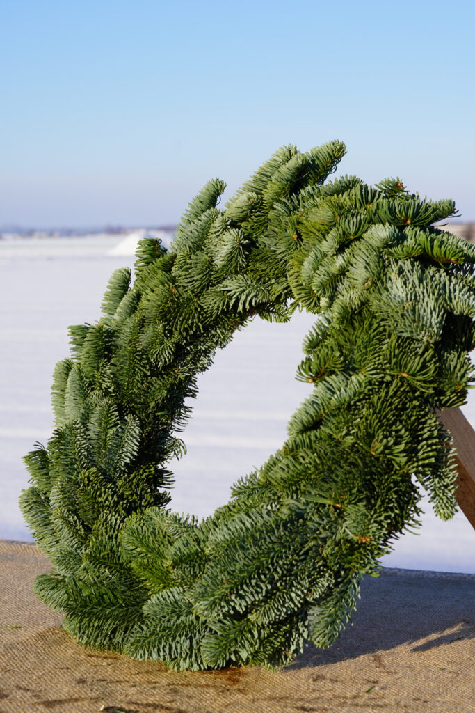 DSC02813 DSC02813 683x1024