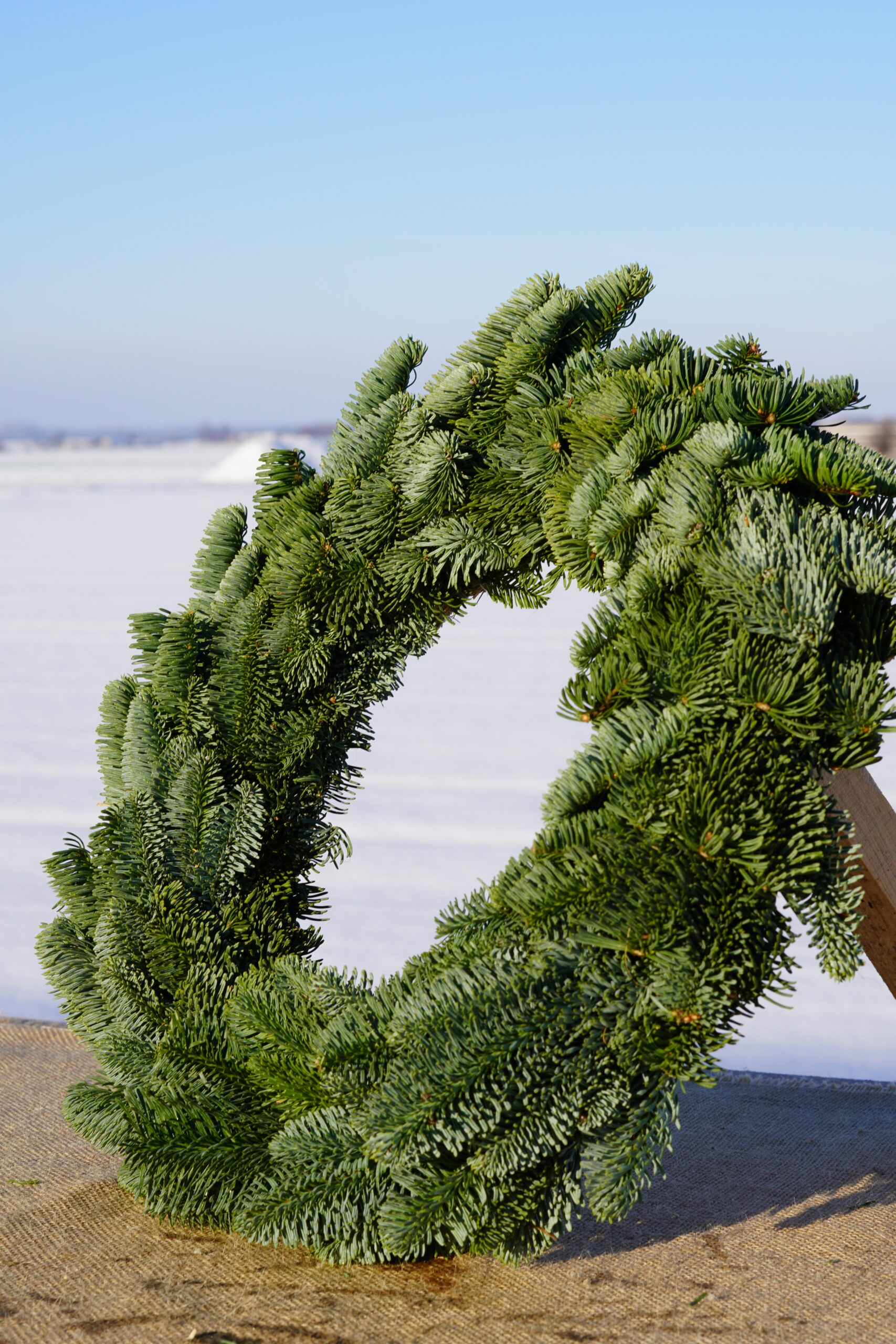 journey DSC02813 Scaled