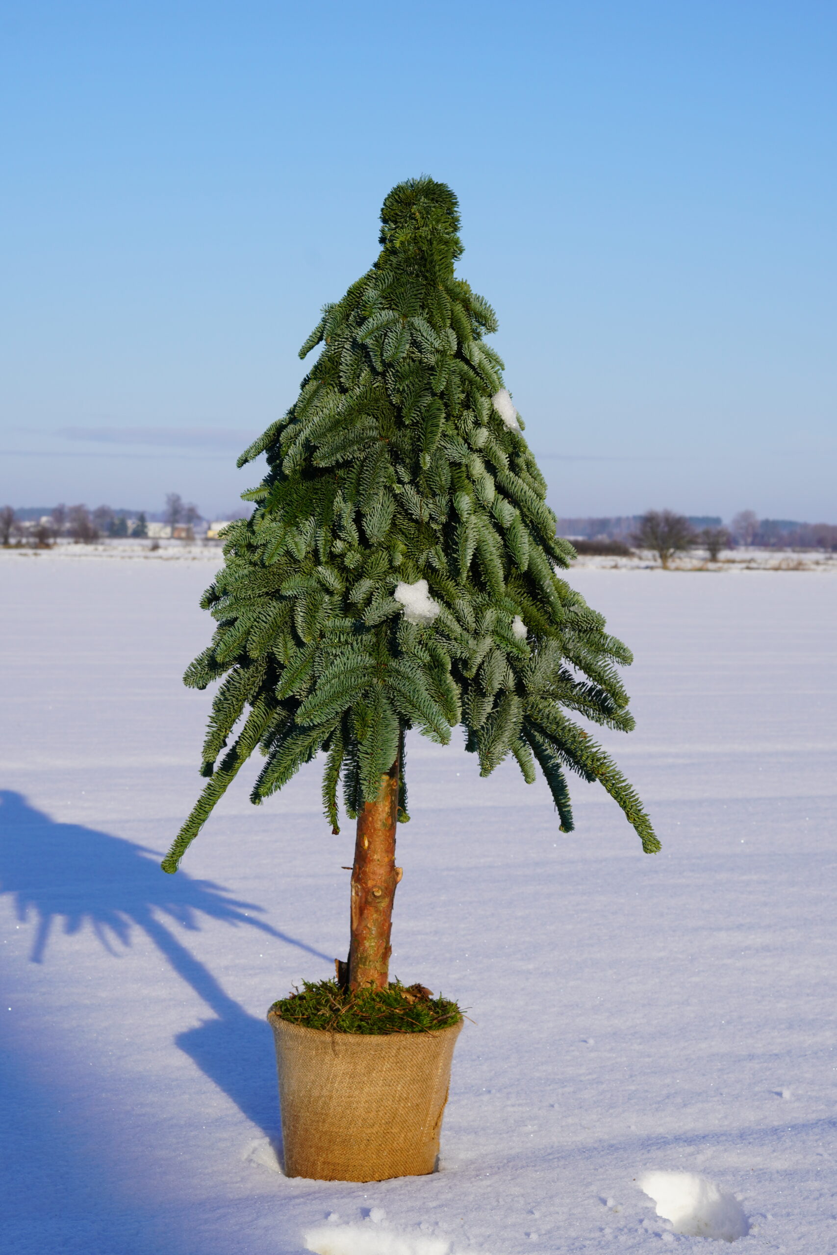 why-choose-us DSC02822 Scaled